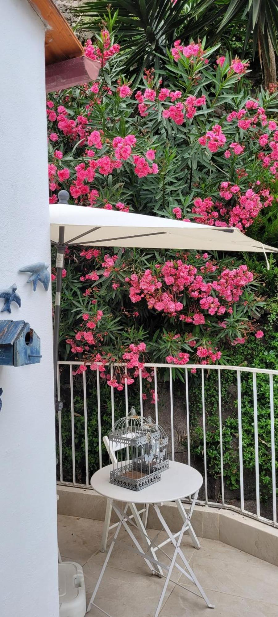 Red House By The River OOporto Exterior foto